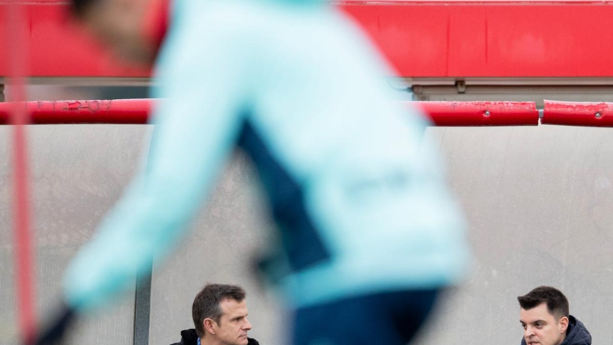 The Relegation Scramble: West Ham's Fight for Premier League Survival